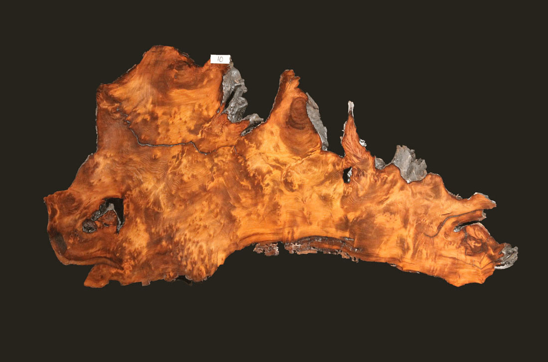 Live Edge Single Redwood Burl Slab RWB10