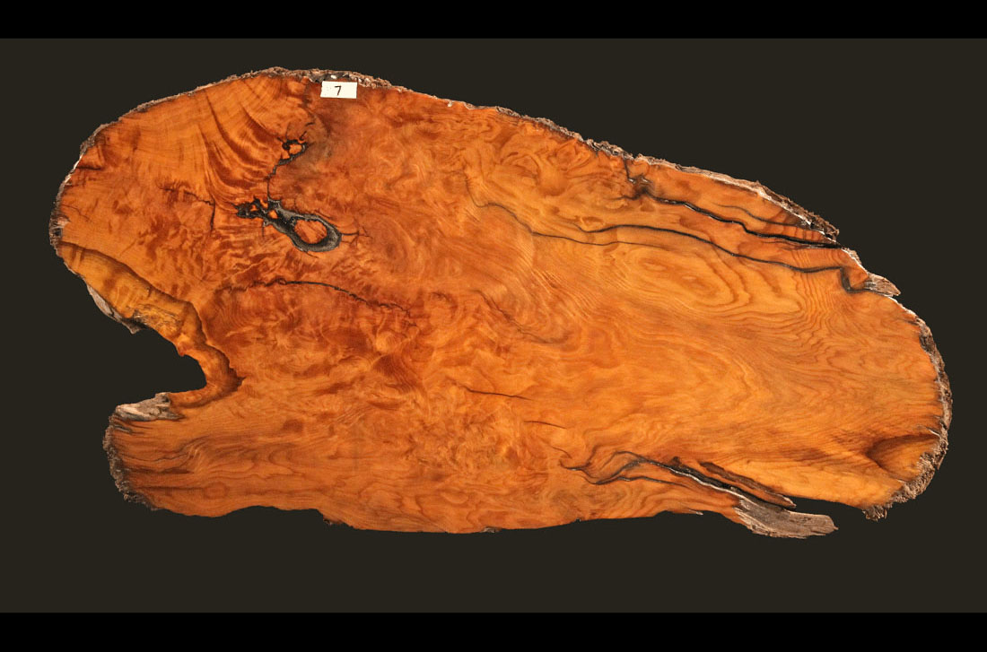 Live Edge Single Redwood Burl Slab RWB7