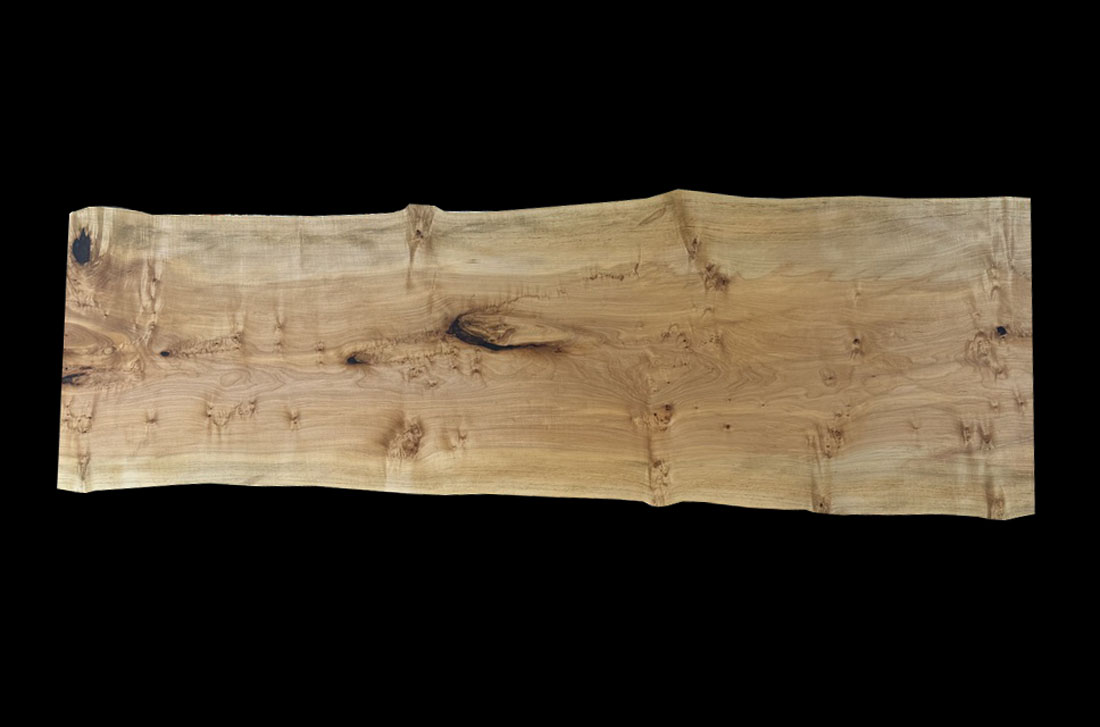 Live Edge Slab WV560-11